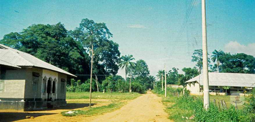 Sacred Grove of Ogboli-Eke