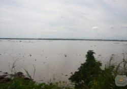 River Niger
