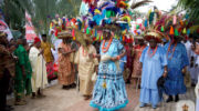 Ofala5